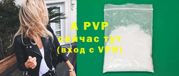 гашик Нефтегорск